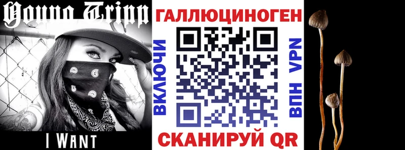 Псилоцибиновые грибы Psilocybine cubensis Трёхгорный